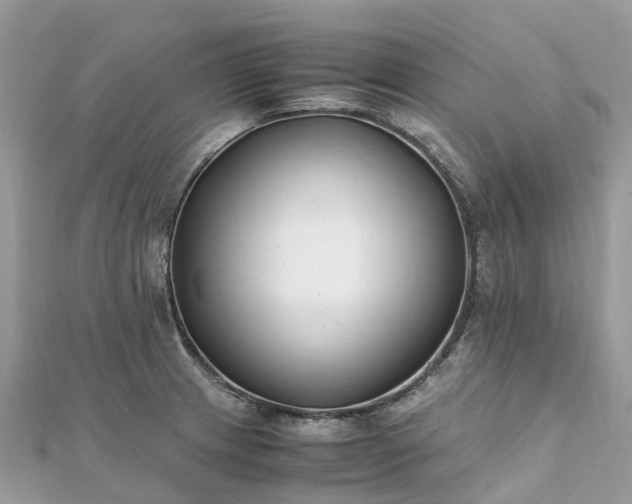X0000111851233200907301104