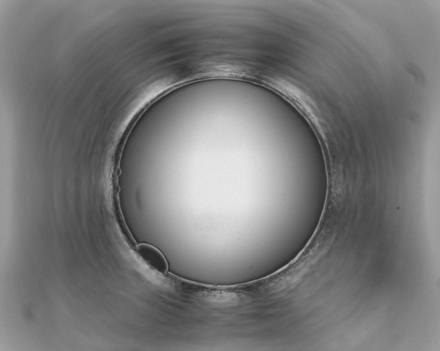 X0000111851235200907301104