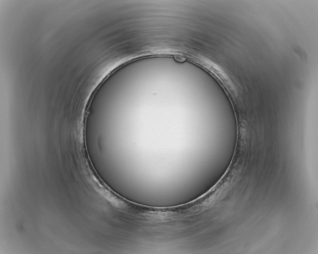 X0000111851236200907301104