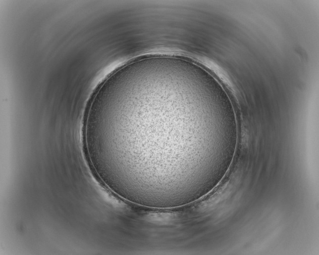 X0000111851237200907301104