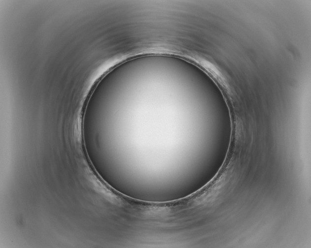 X0000111851238200907301104