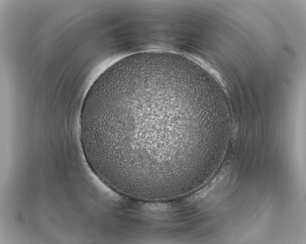 X0000111851239200907301104