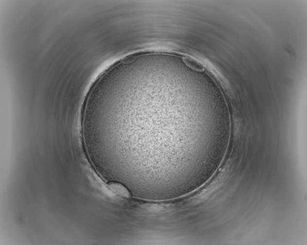 X0000111851240200907301104