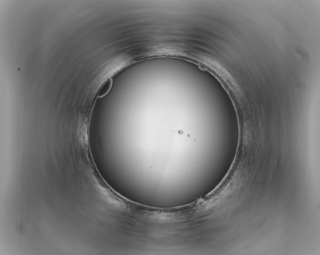 X0000111851241200907301104