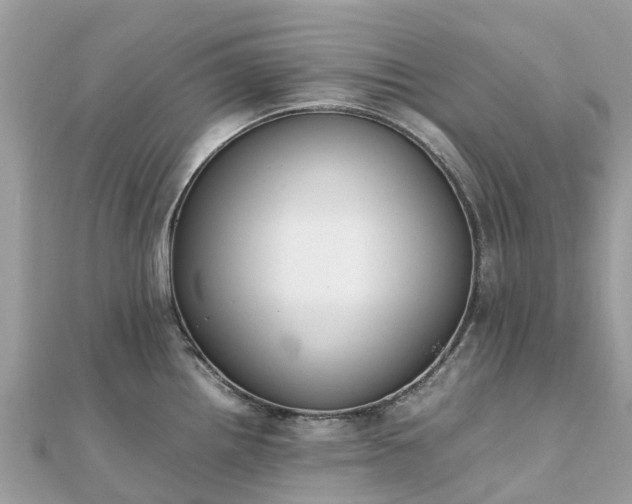 X0000111851242200907301104