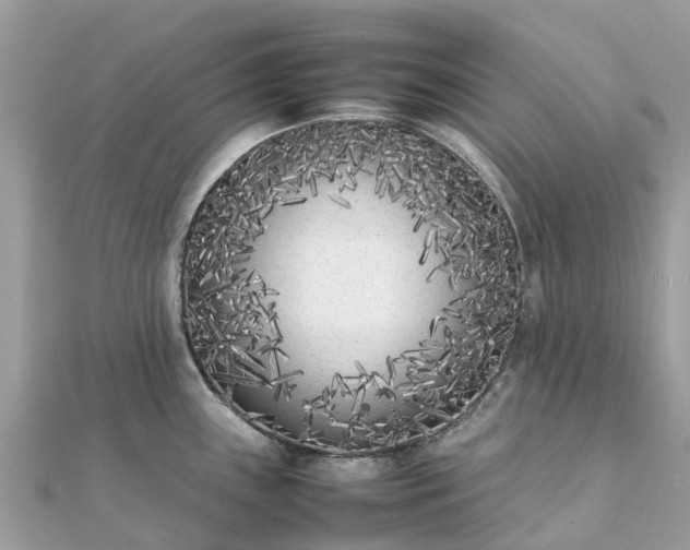 X0000111851243200907301104