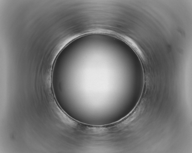 X0000111851244200907301104