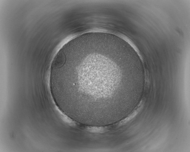 X0000111851245200907301104