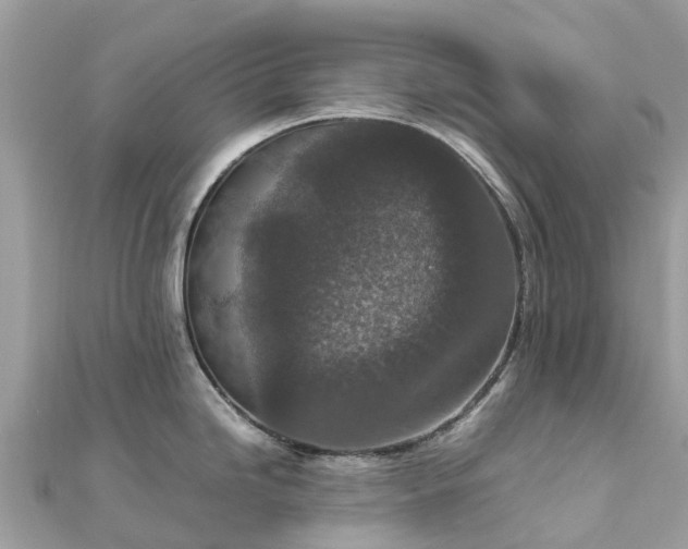 X0000111851246200907301104