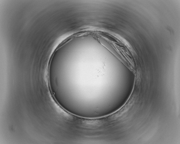 X0000111851247200907301104