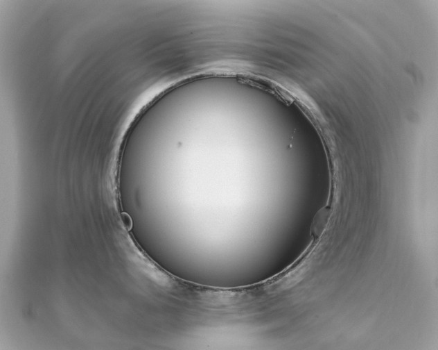 X0000111851248200907301104