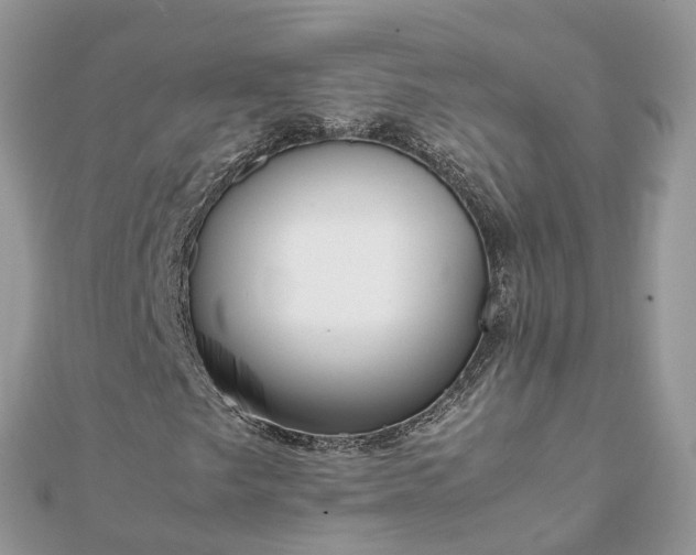 X0000111851249200907301103