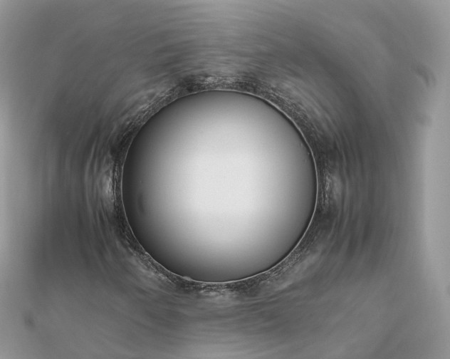 X0000111851250200907301103