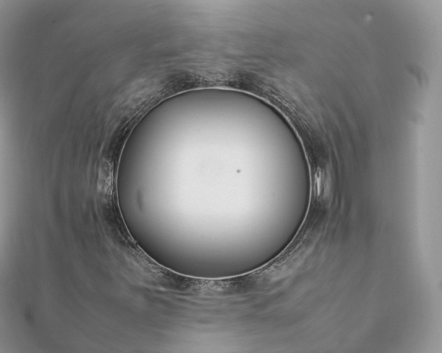 X0000111851251200907301103