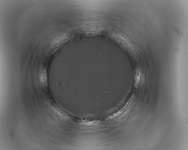 X0000111851252200907301103
