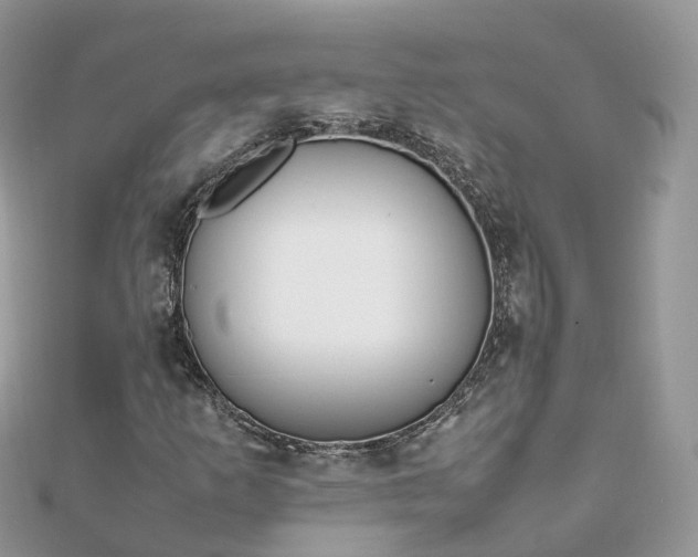 X0000111851253200907301103