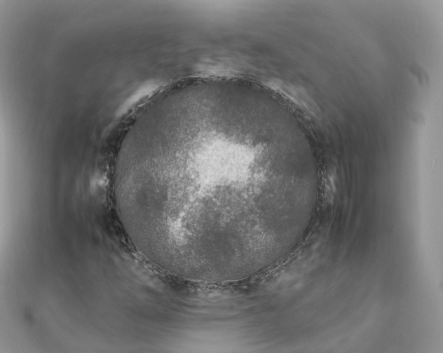 X0000111851254200907301103