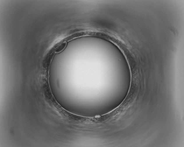 X0000111851255200907301103