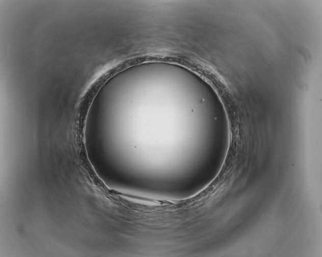X0000111851256200907301103