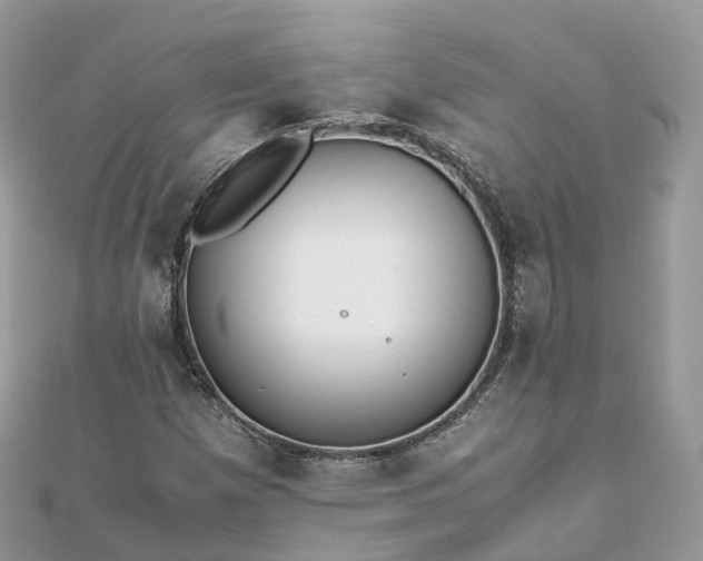 X0000111851257200907301103