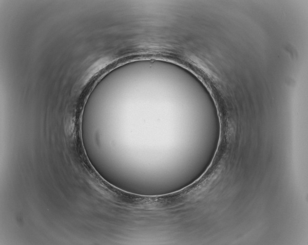 X0000111851259200907301103