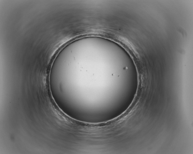X0000111851260200907301103