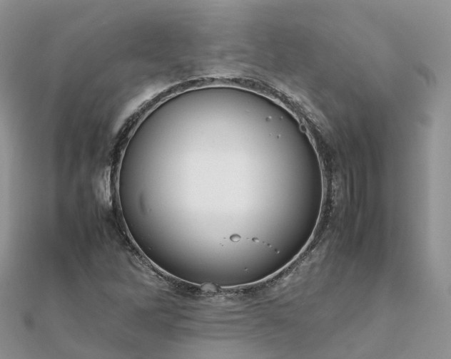 X0000111851262200907301103