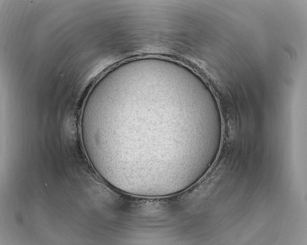 X0000111851266200907301103