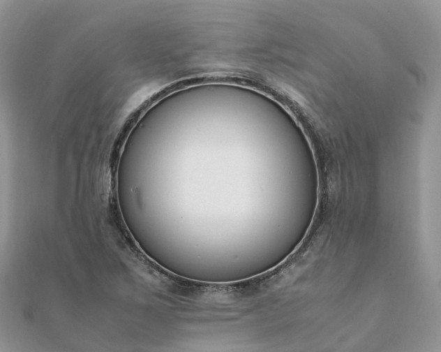 X0000111851267200907301103