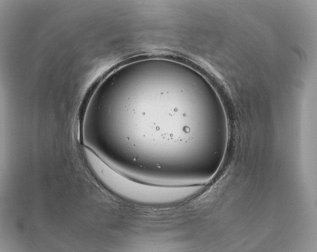 X0000111851269200907301103