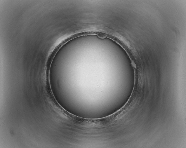 X0000111851270200907301103
