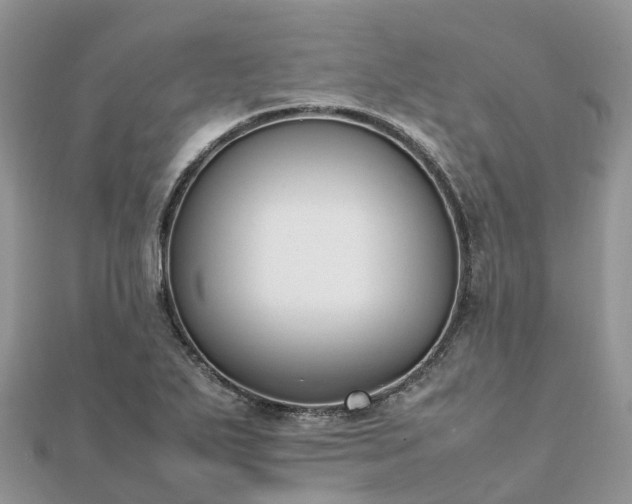 X0000111851271200907301103