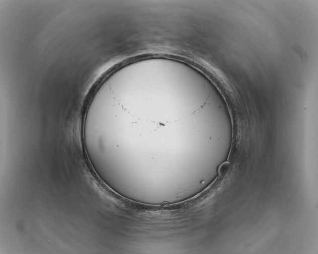 X0000111851272200907301103