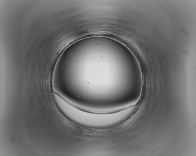 X0000111851273200907301103
