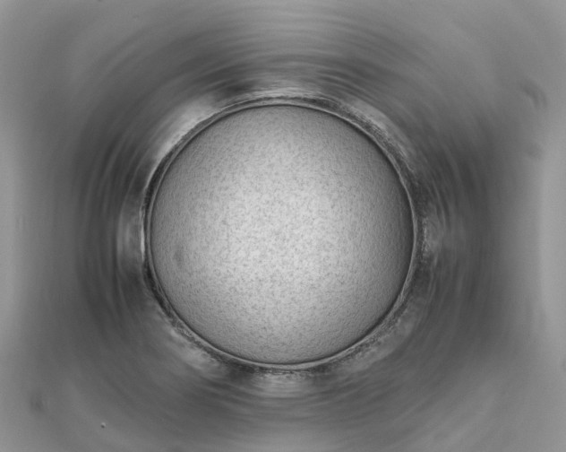 X0000111851274200907301103