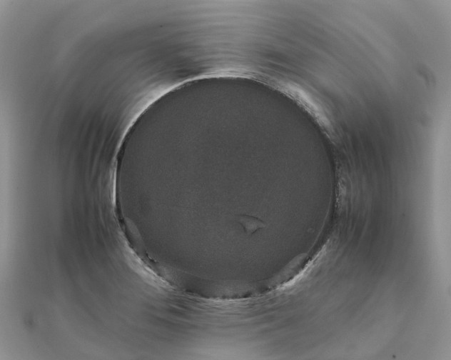 X0000111851276200907301103