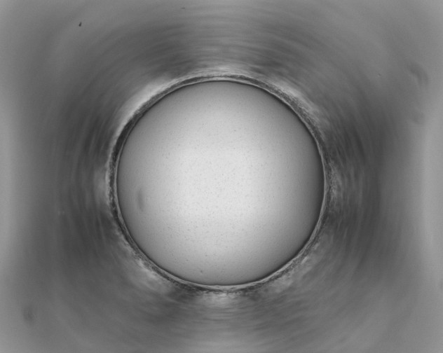 X0000111851278200907301103