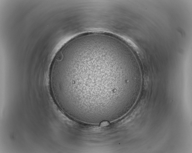 X0000111851279200907301103