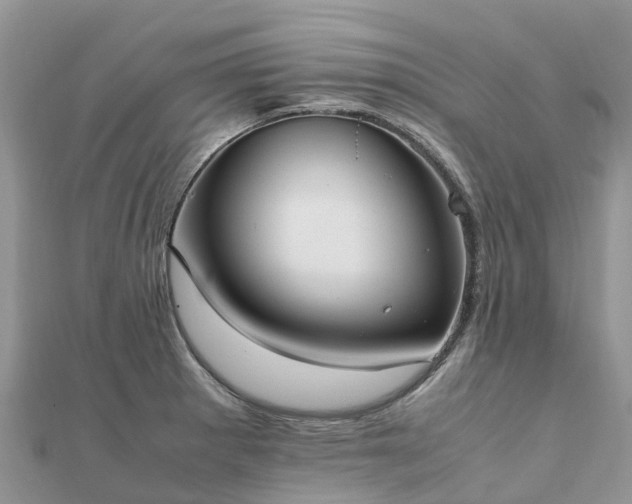 X0000111851281200907301103