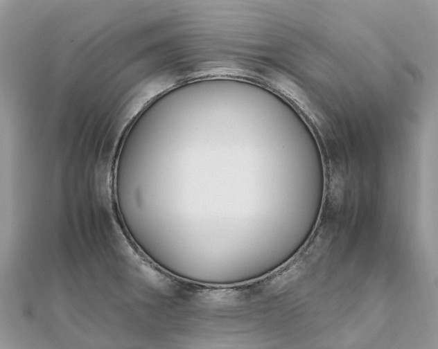 X0000111851282200907301103
