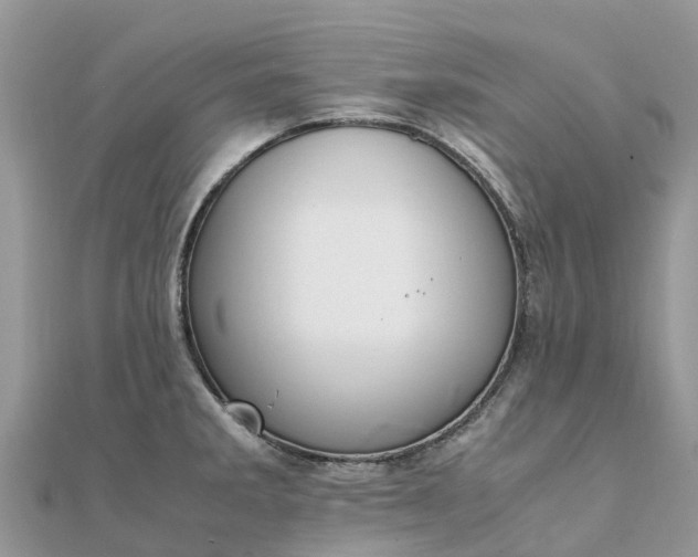 X0000111851285200907301103