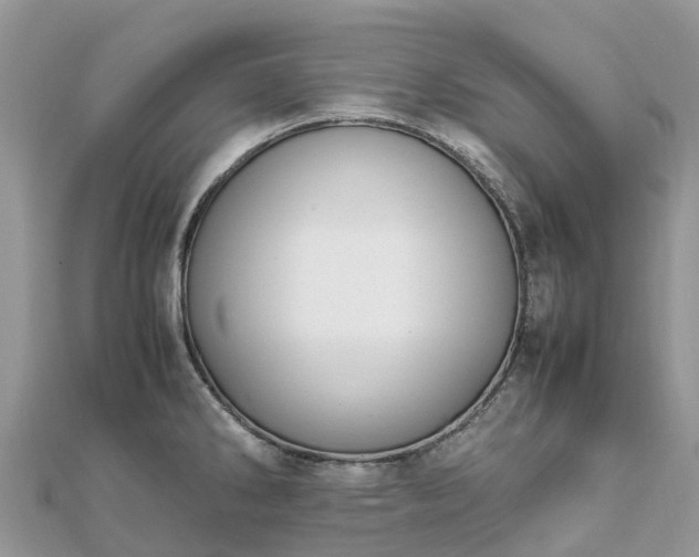 X0000111851286200907301103