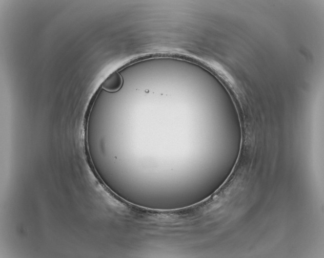 X0000111851287200907301103