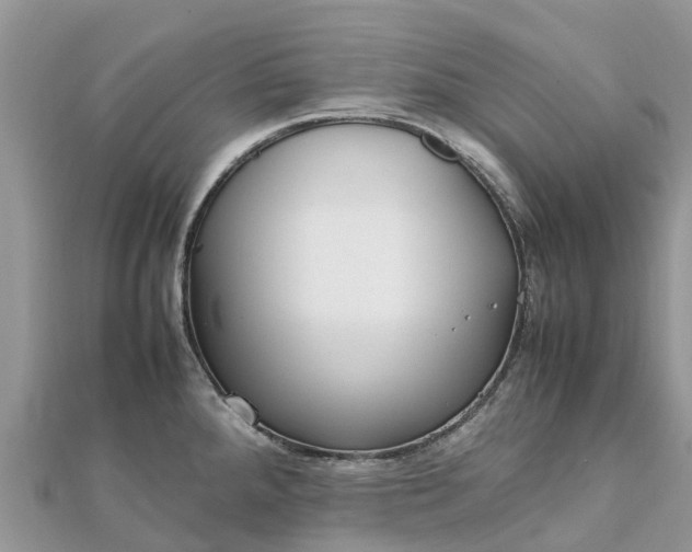 X0000111851288200907301103