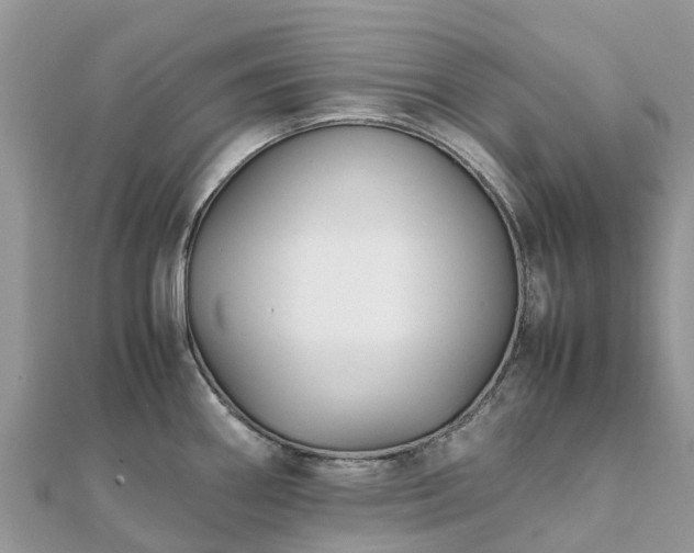 X0000111851290200907301103
