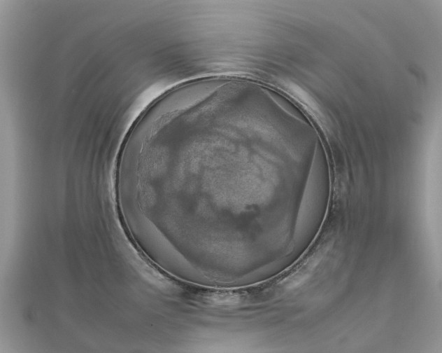 X0000111851291200907301103