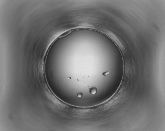 X0000111851292200907301103