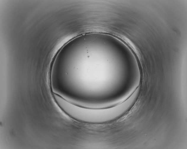 X0000111851293200907301103