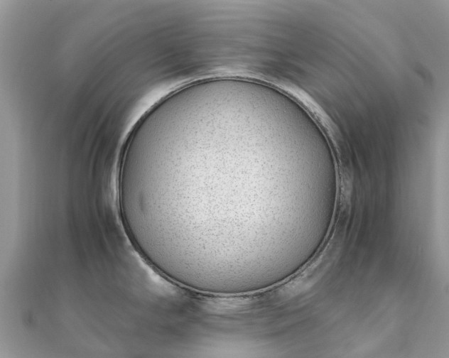 X0000111851294200907301103