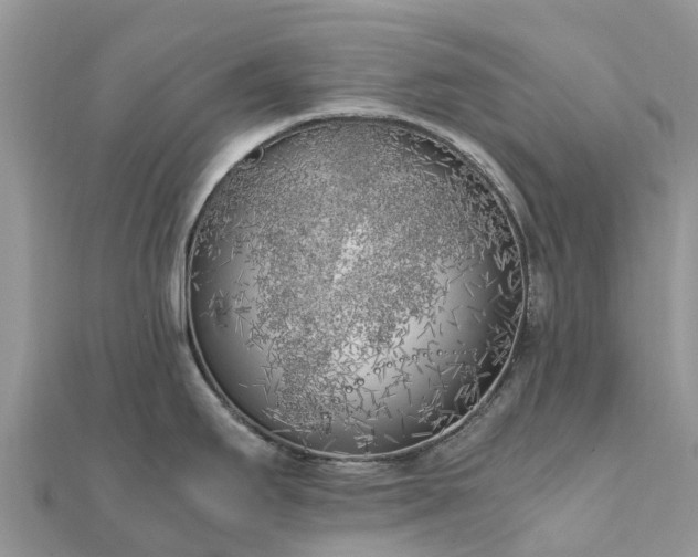 X0000111851295200907301103